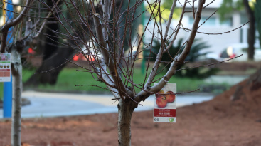 Onda avanza en la remodelaci�n del parque de las Tres Culturas con nivelaci�n total y mayor accesibilidad