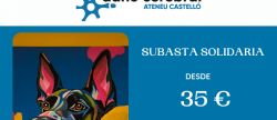 Ateneu Castell� impulsa una subasta solidaria para apoyar la creaci�n del nuevo CRAPPS