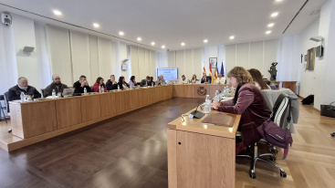 El Pleno de Vila-real aprueba la tasa de residuos con bonificaciones que pueden reducir el recibo hasta un 40 por ciento
