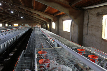 Fotografia /Galeria/2025/12/254594_164550/2_M1.jpg