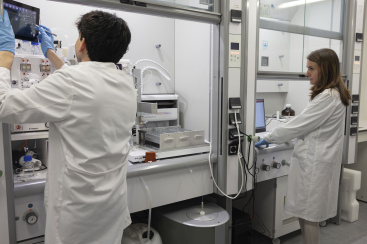 Seis proyectos de I+D+i de la UJI obtienen casi un mill�n de euros para sostenibilidad y respuesta ante cat�strofes