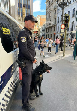 Castell�n activa un amplio dispositivo especial de seguridad para la Nochevieja