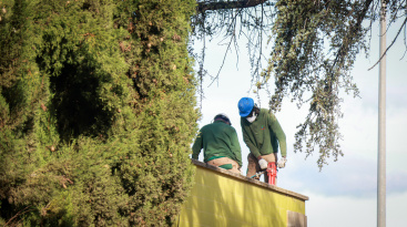 Fotografia /Galeria/2025/12/254745_164664/2_M1.jpg