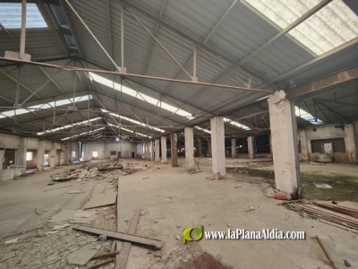 Fotografia /Galeria/2025/2/239818_153387/2_M1.jpg