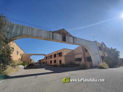 Fotografia /Galeria/2025/2/239818_153387/3_M1.jpg