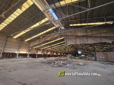 Fotografia /Galeria/2025/2/239818_153387/6_M1.jpg