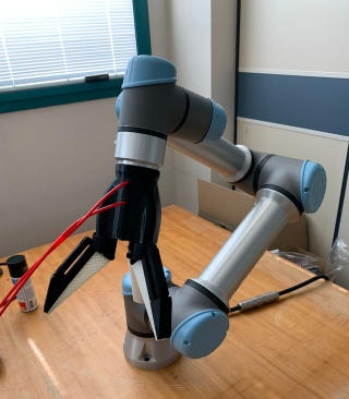 Fotografia /Galeria/2025/2/240136_153627/2_M1.jpg