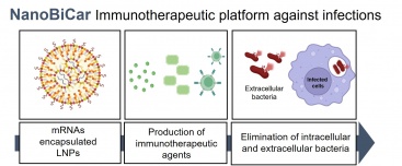 Fotografia /Galeria/2025/2/240164_153649/2_M1.jpg