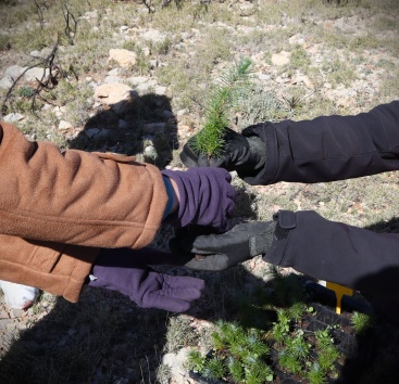 Fotografia /Galeria/2025/2/240269_153735/2_M1.jpg