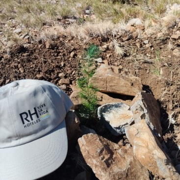 Fotografia /Galeria/2025/2/240269_153735/4_M1.jpg