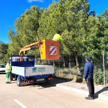Sant Jordi aposta per un innovador tractament biològic contra la processionària anticipant-se al calor