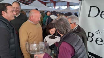 El PP de Benassal destaca el valor de la trufa en la XXI Mostra de la Trufa Negra de l'Alt Maestrat