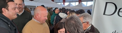 El PP de Benassal destaca el valor de la trufa en la XXI Mostra de la Trufa Negra de l'Alt Maestrat