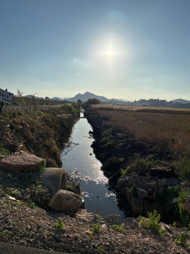 El Ayuntamiento de La Llosa limpia las acequias de la marjalera