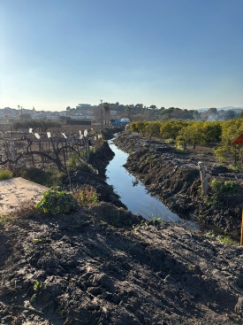 Fotografia /Galeria/2025/2/240692_154068/2_M1.jpg