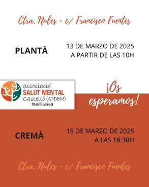 L'Associació Salut Mental Castelló celebra la Plantà i Cremà del seu monument faller