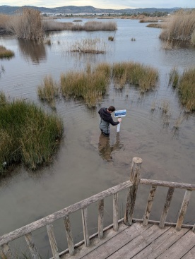 Fotografia /Galeria/2025/3/241292_154518/2_M1.jpg