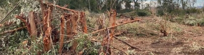 Acció Ecologista-Agró denuncia las obras del aeródromo de La Llosa