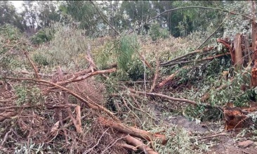 Fotografia /Galeria/2025/3/241342_154553/2_M1.jpg