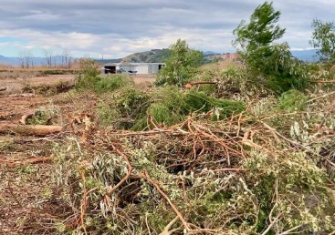 Fotografia /Galeria/2025/3/241342_154553/4_M1.jpg