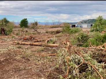 Fotografia /Galeria/2025/3/241342_154553/5_M1.jpg