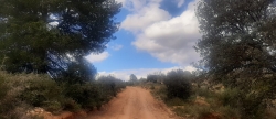 Cabanes mejora 26 caminos rurales daados tras la DANA