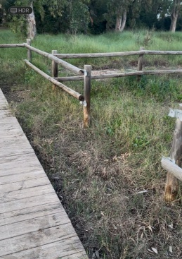 Fotografia /Galeria/2025/3/241709_154844/2_M1.jpg