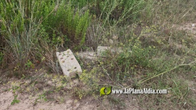 Fotografia /Galeria/2025/3/241911_155014/3_M1.jpg