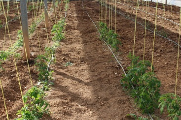 Fotografia /Galeria/2025/3/242078_155148/2_M1.jpg