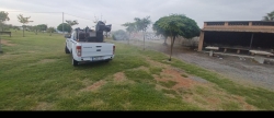 Moncofa previene los mosquitos con las primeras fumigaciones