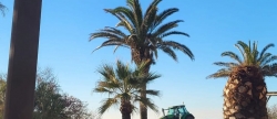 Moncofa pone a punto la playa del Grao para la Pascua