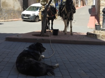 Fotografia /Galeria/2025/4/242447_155436/2_M1.jpg