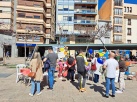 Fotografia /Galeria/2025/4/242616_155568/4_M1.jpg