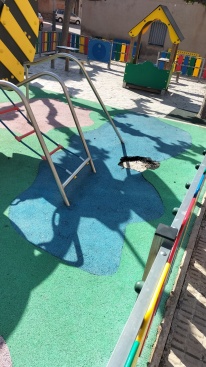 Fotografia /Galeria/2025/4/242831_155731/2_M1.jpg