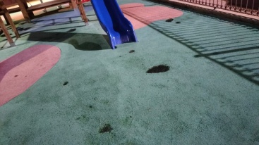 Fotografia /Galeria/2025/4/242831_155731/5_M1.jpg