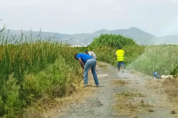 El Ayuntamiento de Almenara contratará a 21 personas para ejecutar las memorias del paro agrícola
