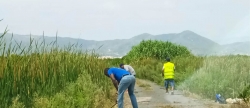 El Ayuntamiento de Almenara contratar a 21 personas para ejecutar las memorias del paro agrcola