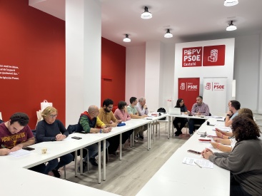 El PSPV de Castelló reclama más recursos en salud mental, obstetricia y reproducción asistida para una sanidad pública que proteja la salud de las mujeres