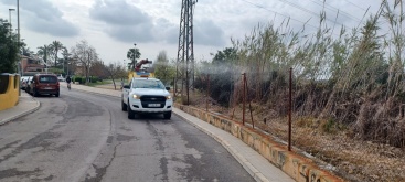 Fotografia /Galeria/2025/4/243040_155894/2_M1.jpg