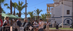 V Fira de l'Adopci Moncofa dar visibilidad a perros y gatos en adopcin