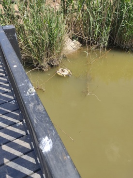 Fotografia /Galeria/2025/4/243334_156112/3_M1.jpg