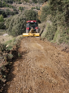 Fotografia /Galeria/2025/4/243430_156182/3_M1.jpg