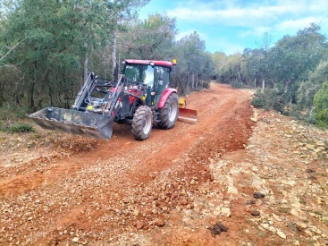 Fotografia /Galeria/2025/4/243430_156182/4_M1.jpg