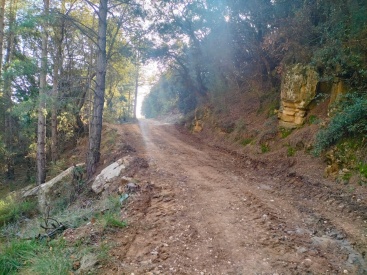 Fotografia /Galeria/2025/4/243430_156182/6_M1.jpg