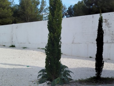 Fotografia /Galeria/2025/4/243458_156203/2_M1.jpg