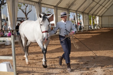 Fotografia /Galeria/2025/4/243582_156295/2_M1.jpg