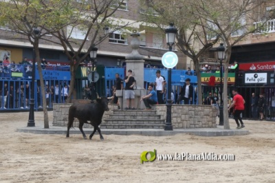 Fotografia /Galeria/2025/4/243584_156297/2_M1.jpg