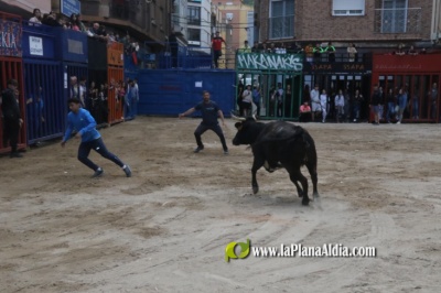 Fotografia /Galeria/2025/4/243584_156297/3_M1.jpg