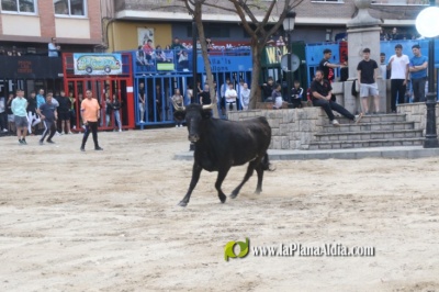 Fotografia /Galeria/2025/4/243584_156297/4_M1.jpg