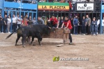 Primer toro cerril de la concurrida Pascua Taurina de Alcora